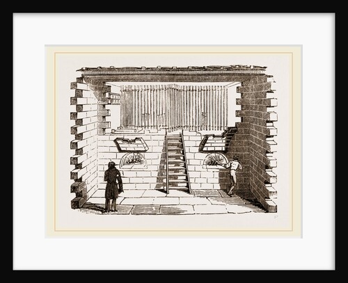 Hatching-room at Paris by Anonymous
