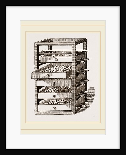 Egg-Frame by Anonymous