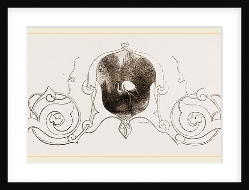 Stork by Anonymous
