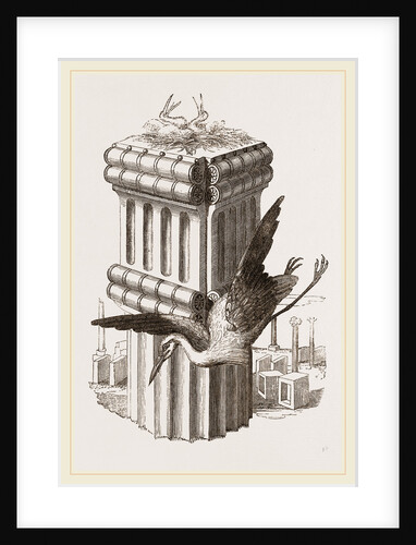 Stork's Nest at Persepolis, Iran by Anonymous