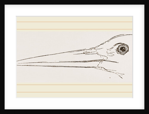 Bill of Stork by Anonymous