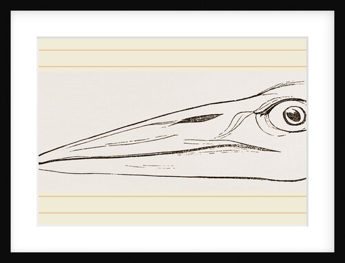 Bill of Marabou by Anonymous