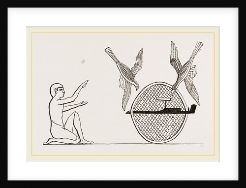 Clap-net of Ancient Egyptians for Bird-catching, Egypt by Anonymous