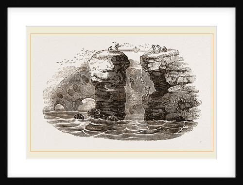 Fowlers of St Kilda by Anonymous