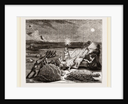 Catching Turtles on the Coast of Cuba by Anonymous