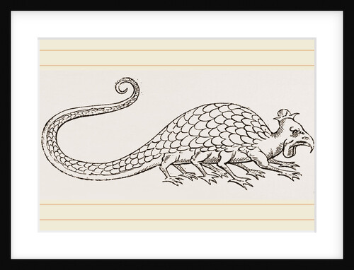 Basilisk from Aldrovandus by Anonymous