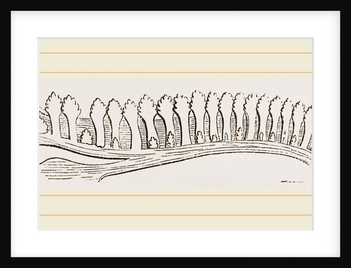 Lower Jaw of Iguana by Anonymous