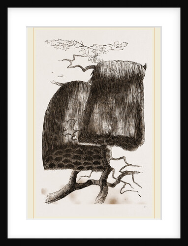 Nests of Sociable Weaver Birds by Anonymous