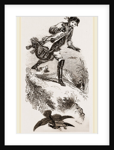 Hawking for Wild-Ducks by Anonymous