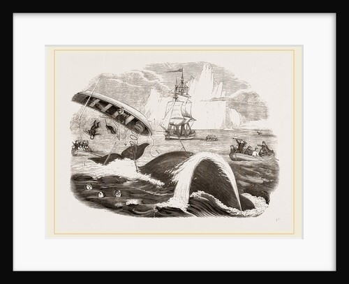 Dangers of the Whale Fishery by Anonymous