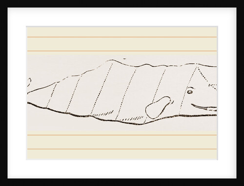 Spermaceti Whale by Anonymous