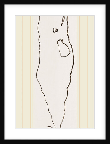 Spermaceti Whale by Anonymous