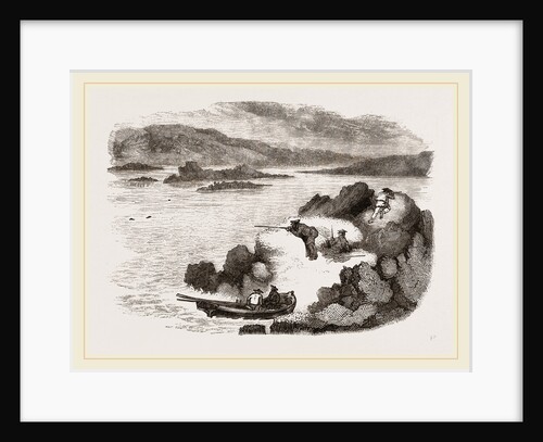 Seal-hunting in Scotland by Anonymous