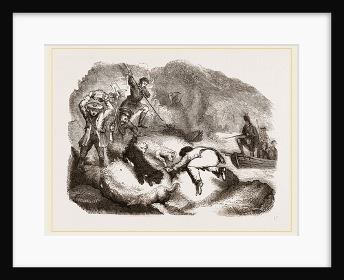 Otter-hunting at a Cairn by Anonymous