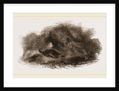 Otter in Cave by Anonymous