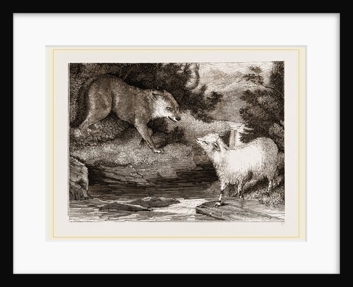Wolf and Lamb by Anonymous