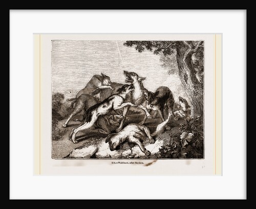 Wolf hunt, after Snyders by Anonymous
