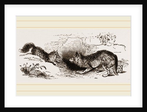 Wolf and Fox by Anonymous