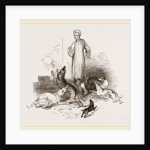 Street Dogs of the East by Anonymous