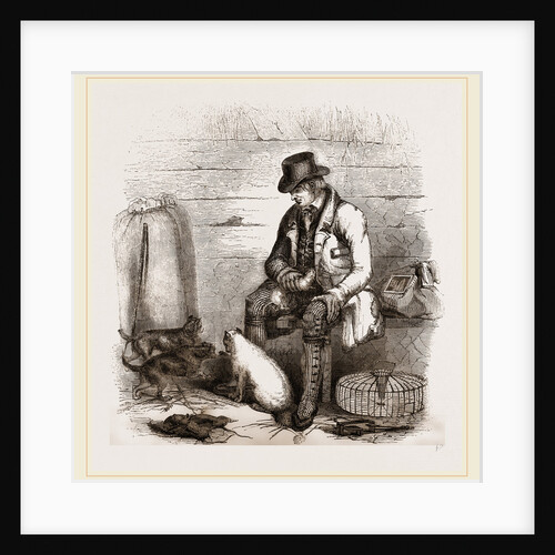 Rat-catcher and Terriers by Anonymous