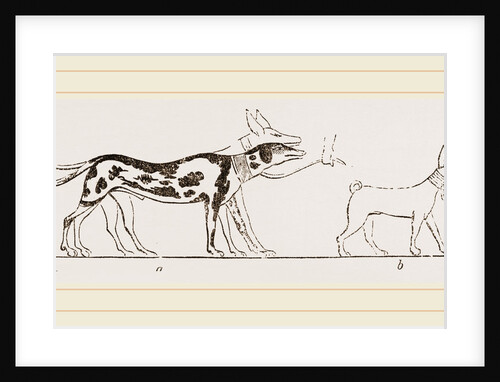 Dogs from Egyptian Paintings by Anonymous