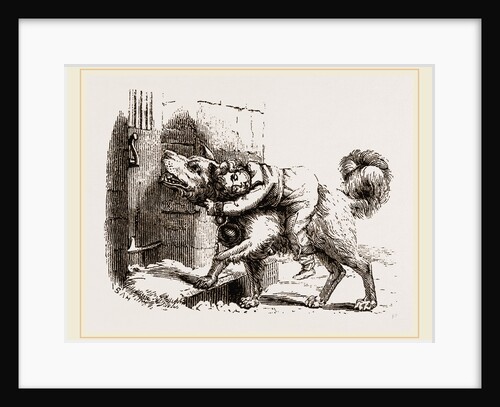Dog of Mount St. Bernard by Anonymous