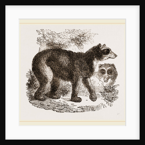 Spectaced Fear by Anonymous