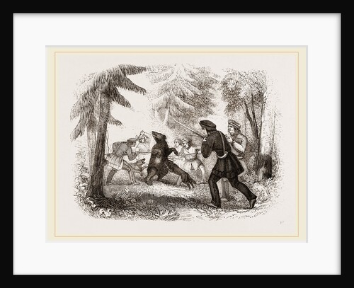 Bear hunting by the Chippewayan Indians by Anonymous