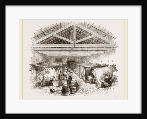 Milking-shed by Anonymous