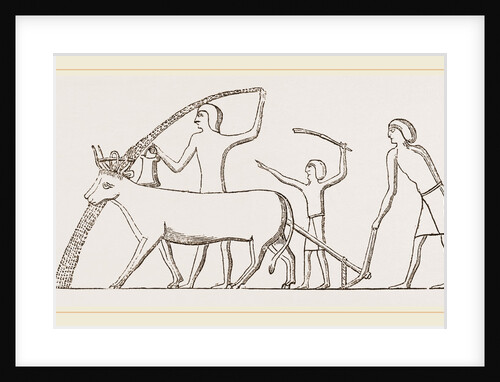 Ancient Egyptian Ploughing, Egypt by Anonymous