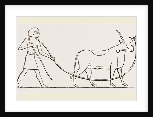 Ox caught in lasso Egyptian sculpture Egypt by Anonymous