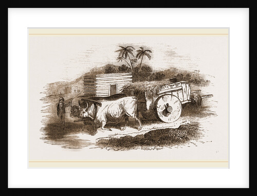 Syrian Cart by Anonymous