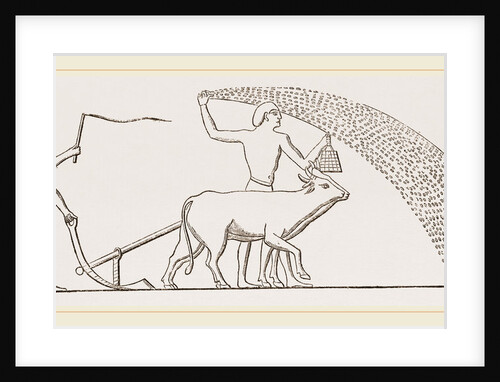 Ancient Egyptian Ploughing Egypt by Anonymous