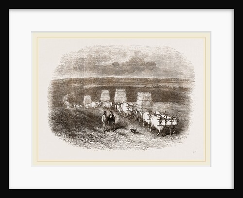 Bullock Caravan in Moldavia by Anonymous