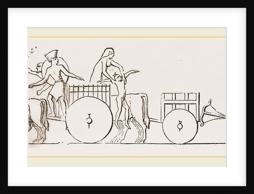 Oxen and Carts Egypt by Anonymous