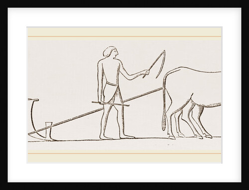 Ancient Egyptian Ploughing Egypt by Anonymous