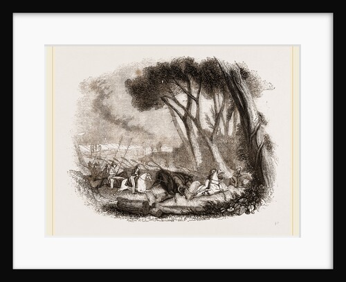 Wild Bull-hunting in the Alemtejo by Anonymous