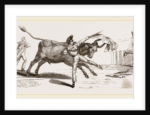 Spanish Bull-fight by Anonymous