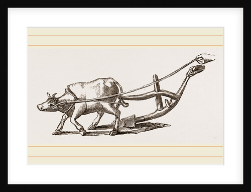 Ancient Plough by Anonymous