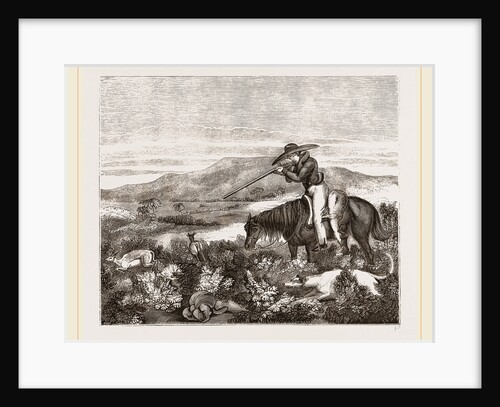 hunting the Springbuck by Anonymous