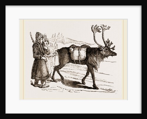 Rein-Deer and Laplanders by Anonymous