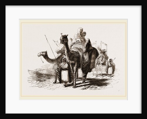 Nlounted Camels by Anonymous