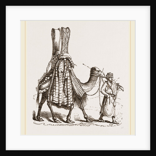 Camel carrying a Bride by Anonymous