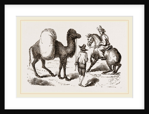 Camel and Horse by Anonymous
