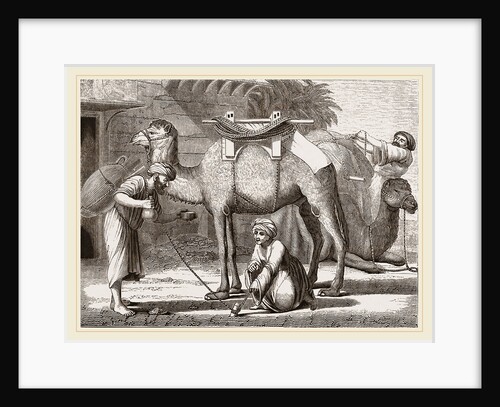 Loading the Camel by Anonymous