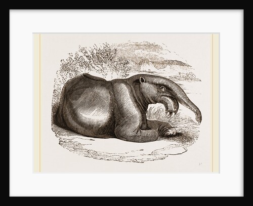 Dinotherium by Anonymous