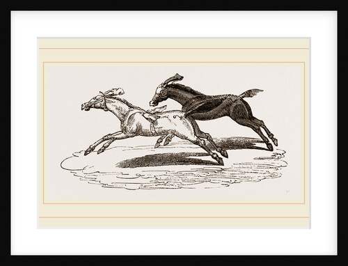 Italian Horse-Racing by Anonymous