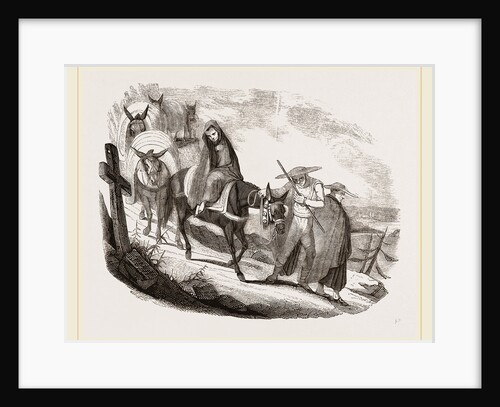 Mules by Anonymous