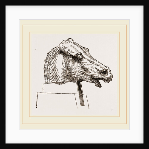 Horse's Head by Anonymous
