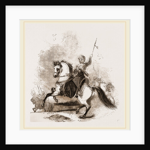 Turkish War Horse by Anonymous